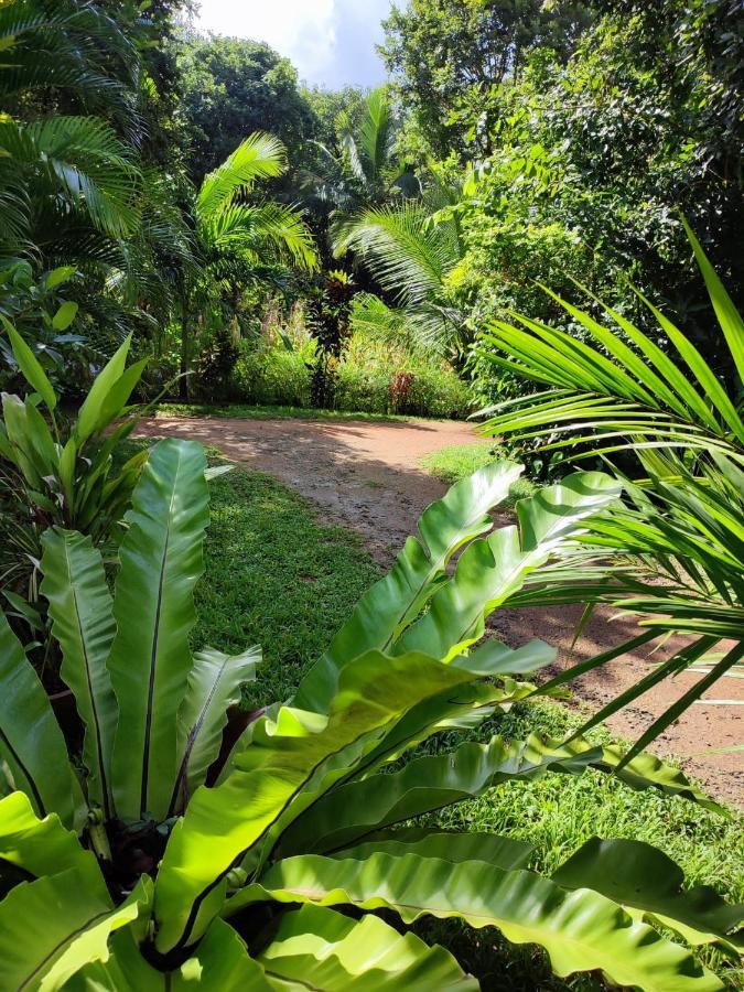 Sigiri Sandilu Homestay Sigiriya Eksteriør billede