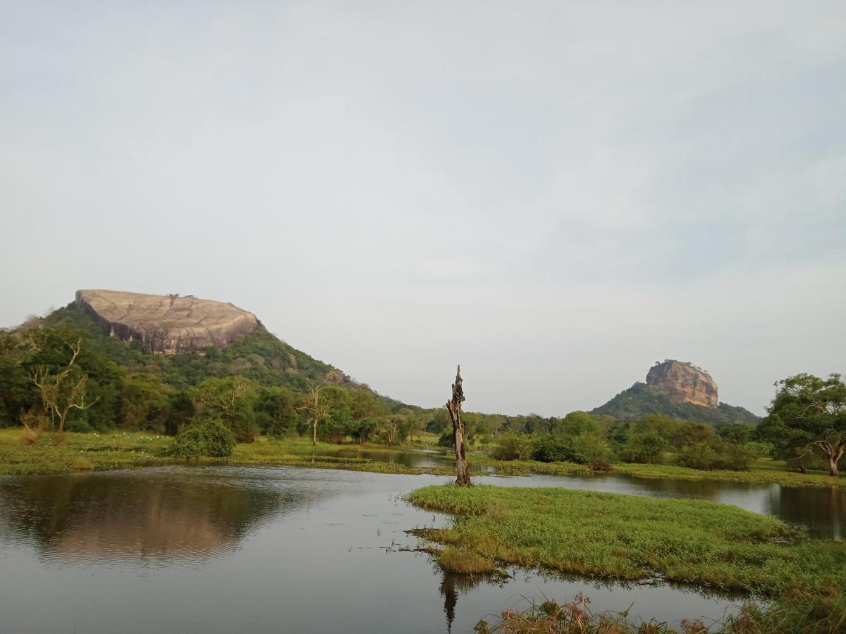 Sigiri Sandilu Homestay Sigiriya Eksteriør billede