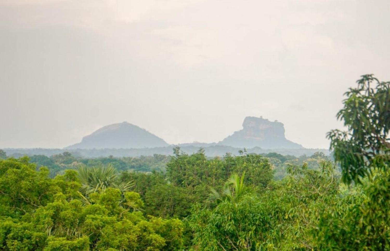Sigiri Sandilu Homestay Sigiriya Eksteriør billede